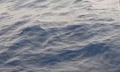 Cabo San Lucas Report Video 0