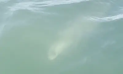 Justin is very polite and knew right where to go on the water. 