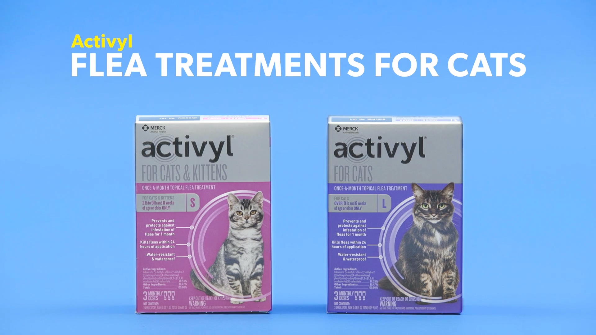 Activyl for outlet cats