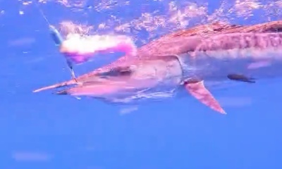 Kailua-Kona Report Video 0