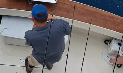 Dana Point Report Video 0