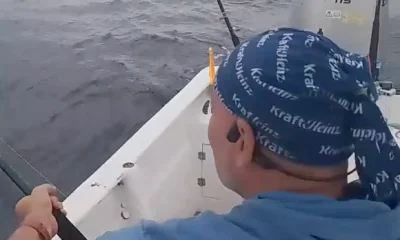 San Jose del Cabo Report Video 0