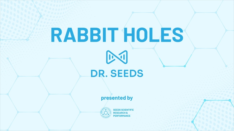 Rabbit Holes – April 2025