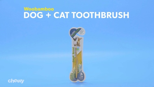 Play Video: Learn More About Woobamboo From Our Team of Experts