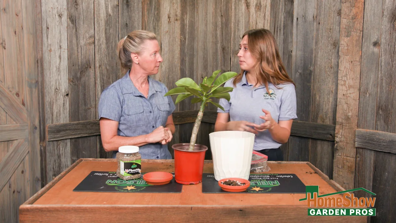 Videos Nelson Plant Food