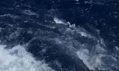 Carolina Beach Report Video 1