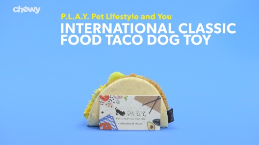 Play Video: Learn More About P.L.A.Y. Pet Lifestyle and You From Our Team of Experts