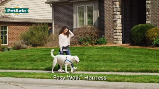 Harnais Easy Walk chat - Vox Animae