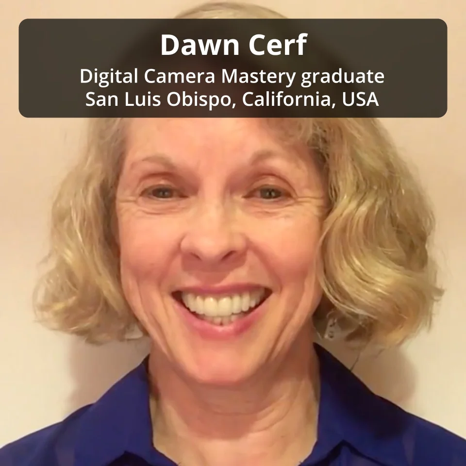 Digital Camera Mastery | Learn How To Use Your Digital Camera