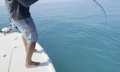 Key West Report Video 0