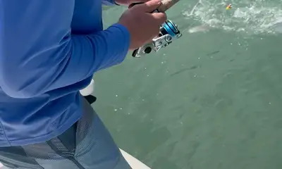 Marc is a great guide!