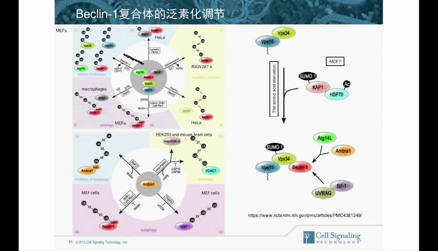 583598394f5530914dd68fa81f179f