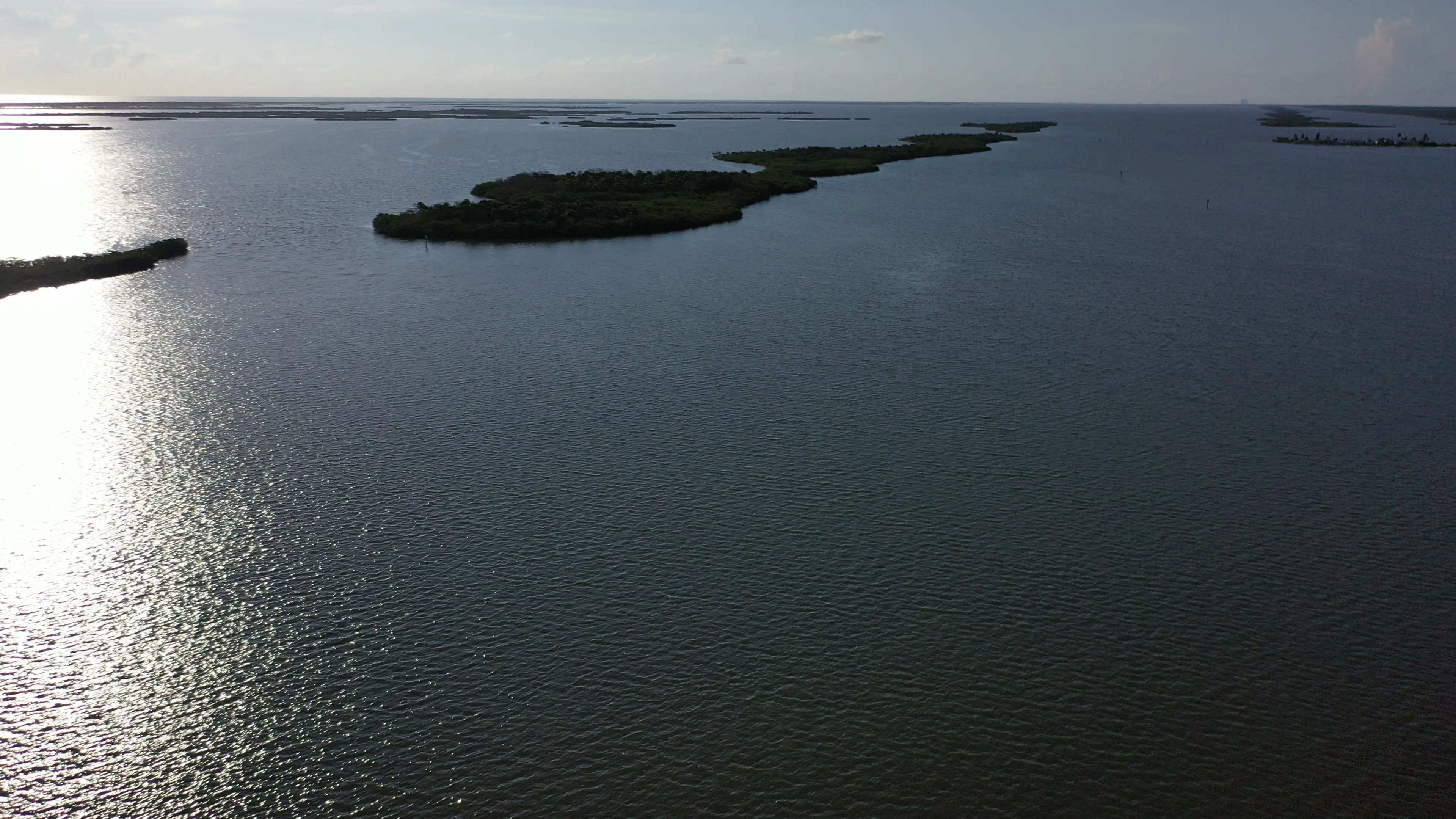 Business Card: Inshore Saltwater Fishing New Smyrna Beach