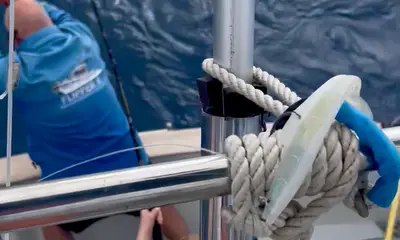 Calheta Report Video 0