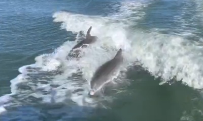 Nick is a great host and captain