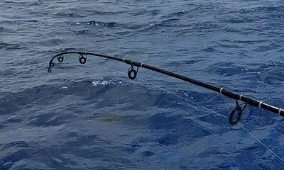 West Bay Report Video 0