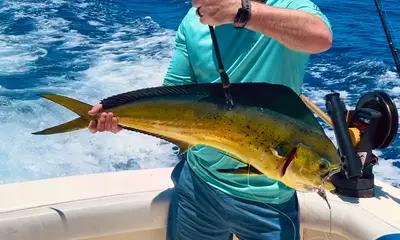 Cancún Report Video 0
