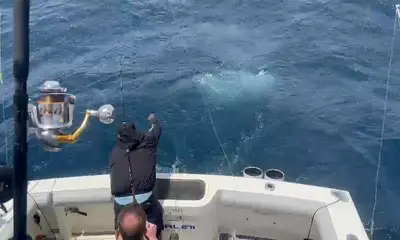 Cabo San Lucas Report Video 0