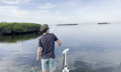 Crystal River Видео отчет 0