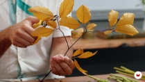 Lesson image