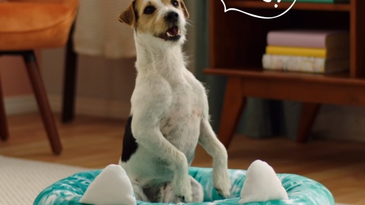 Jazwares Character Stitch Dog Bed