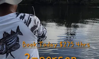 DeBary Report Video 0
