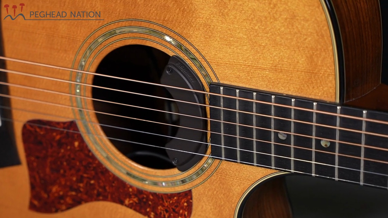 Fishman Fluence Acoustic Spotlight, Nashville Legend, and Rock