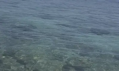 Playa Del Carmen Report Video 0