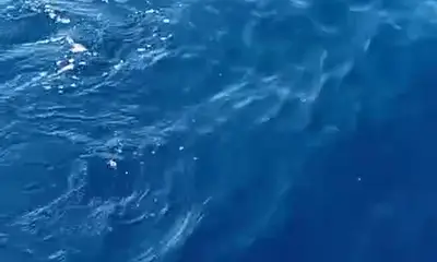 Los Cabos Report Video 2