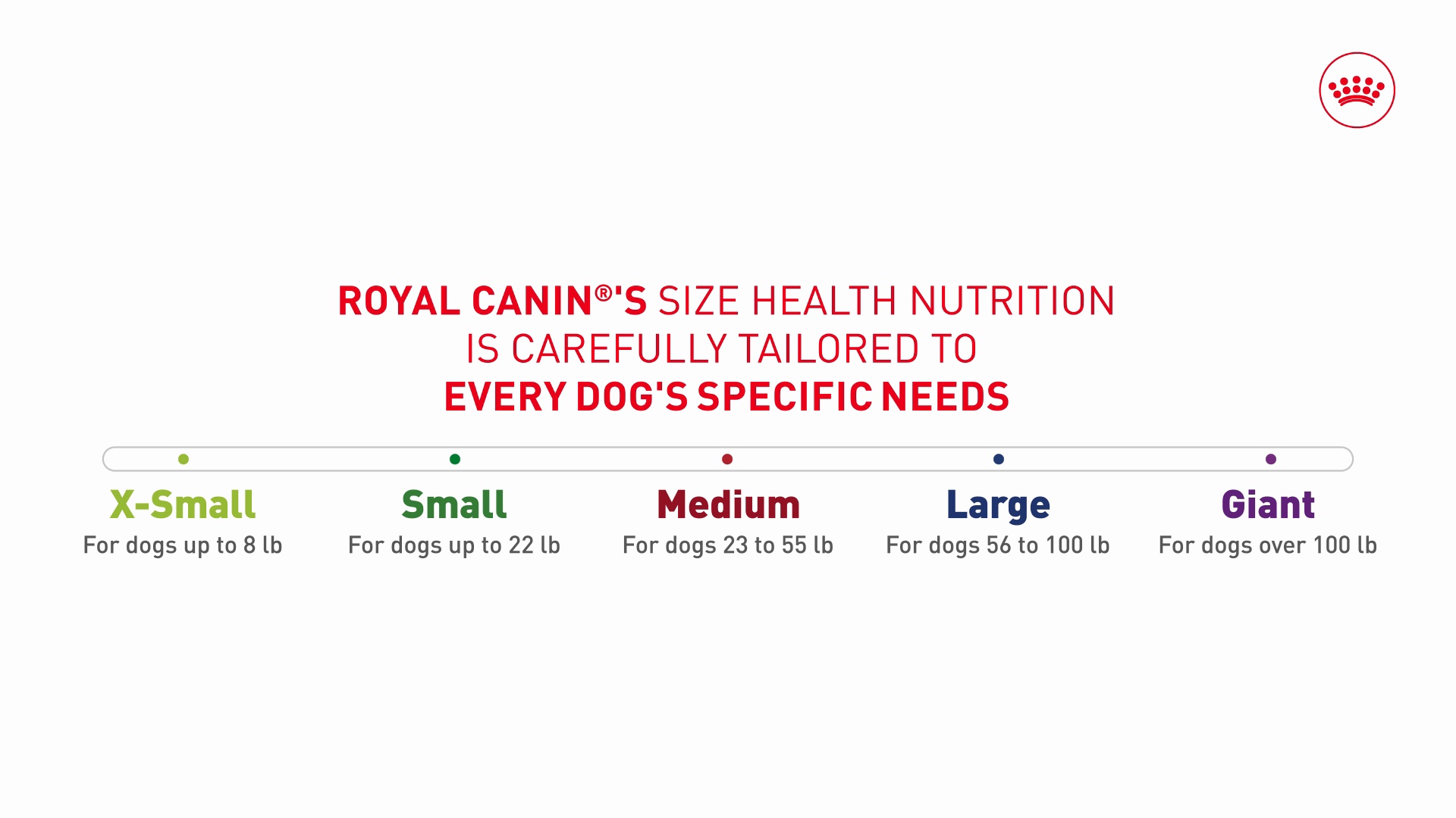 ROYAL CANIN Size Health Nutrition Adult X-Small Dry Dog Food, 14