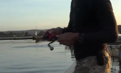 Bangkok Report Video 2