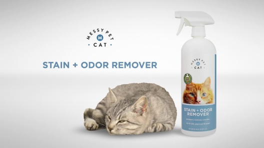 Play Video: Learn More About Messy Pet Cat From Our Team of Experts