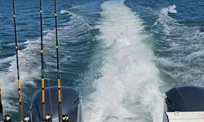 3 hour tour