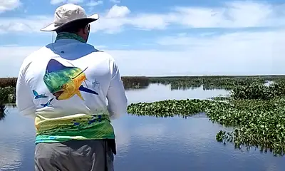 Buenos Aires Report Video 0