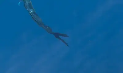 Fujairah Report Video 0