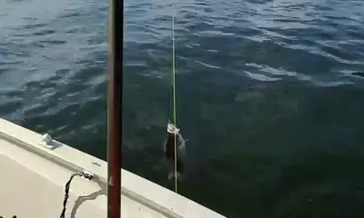 great fishing trip