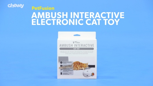 Play Video: Learn More About PetFusion From Our Team of Experts