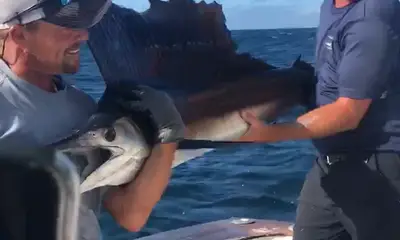 Destin Report Video 0