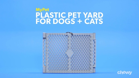 Play Video: Learn More About MyPet From Our Team of Experts