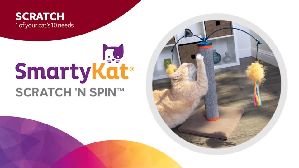 Smarty cat scratch and clearance spin