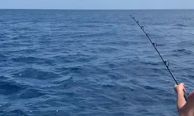Playa Flamingo Report Video 0