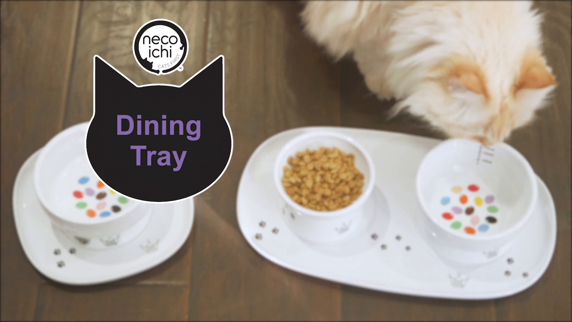 Tray for best sale cat food dishes