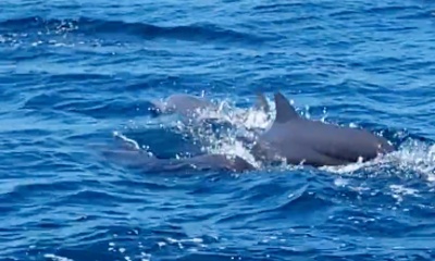 A 6 out of 5 stars experience!