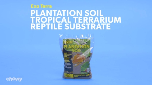 Terrarium Substrate & Soil: The Most Complete Guide