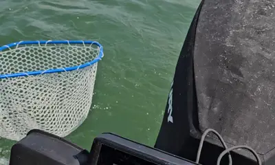 Lakeside Marblehead Report Video 0