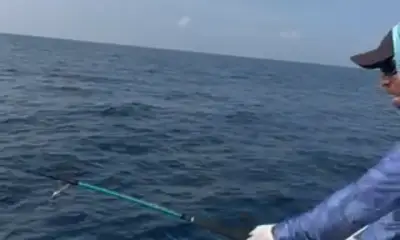 Felidhoo Report Video 1