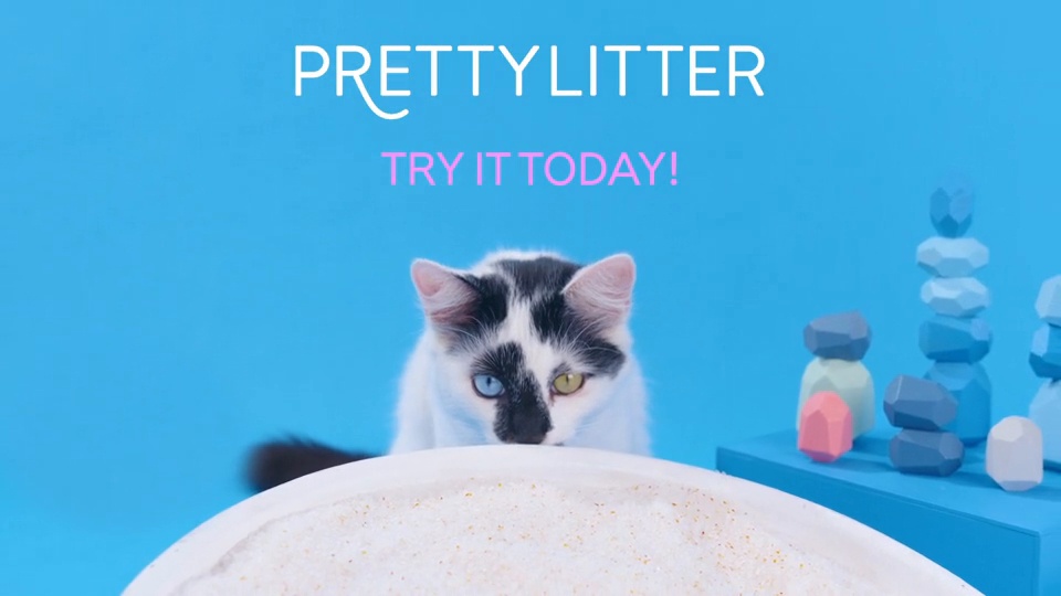 Prettylitter canada outlet reviews