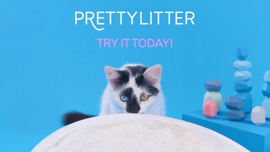Play Video: Learn More About PrettyLitter From Our Team of Experts