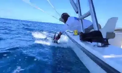 Gulf of California Report Video 2