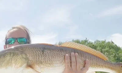 Tampa Report Video 0